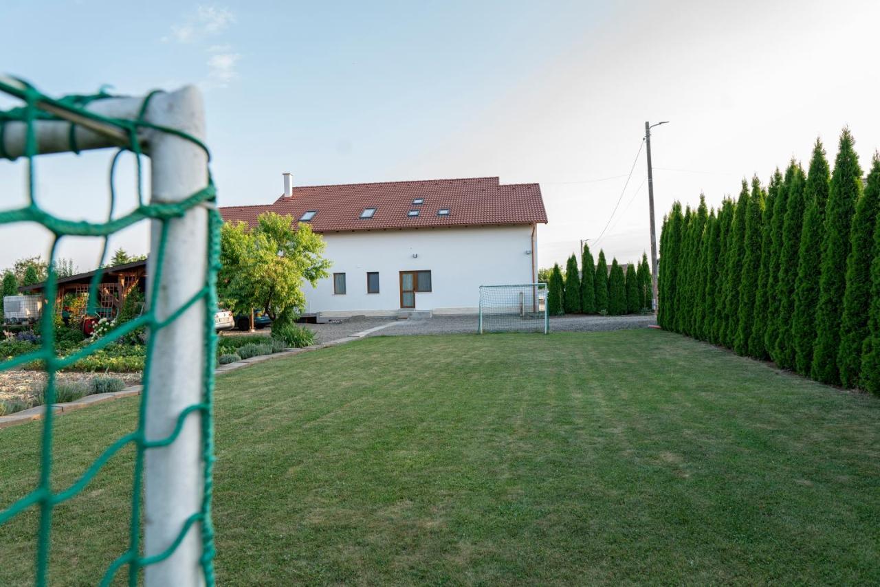 Pensiunea Gassi Sancraiu de Mures エクステリア 写真