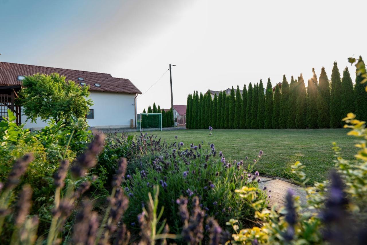 Pensiunea Gassi Sancraiu de Mures エクステリア 写真