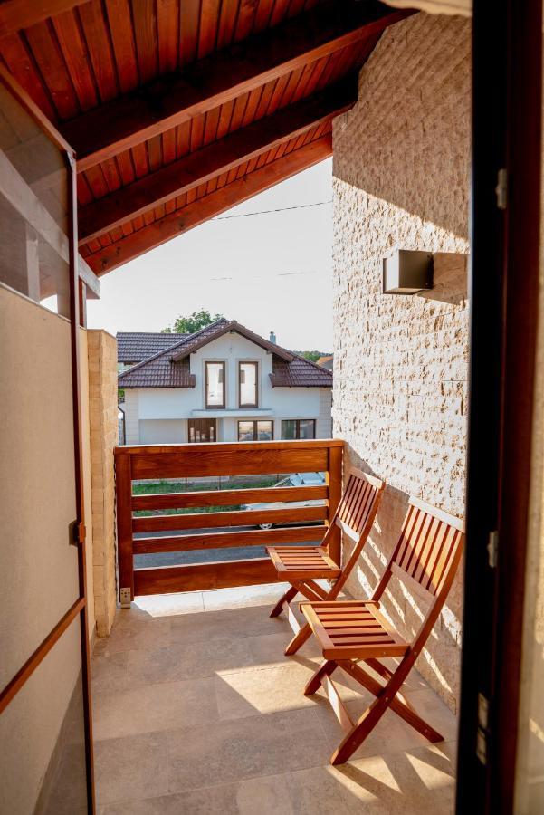 Pensiunea Gassi Sancraiu de Mures エクステリア 写真